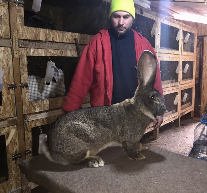 96p - 0 Rezultate expo Națională Băicoi 29 11-3 12 2017