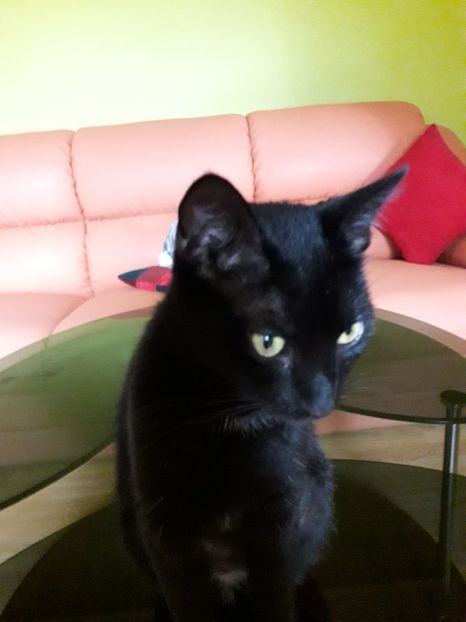 Of! Copiii astia tare sunt obositori! - Tomy