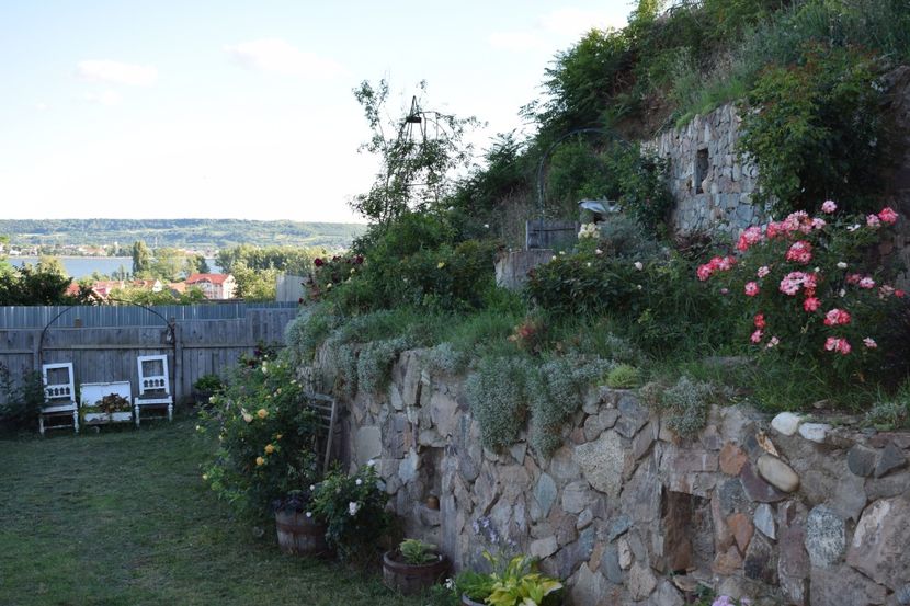  - DIN GRADINA ADUNATE
