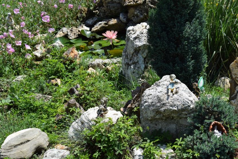  - DIN GRADINA ADUNATE