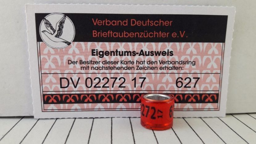 DV 17 1 BUCATA - INELE DE SCHIMB - RING FOR EXCHANGE