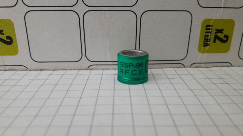 ESP 96 R.F.C.E - SPANIA - ESP - RFCE