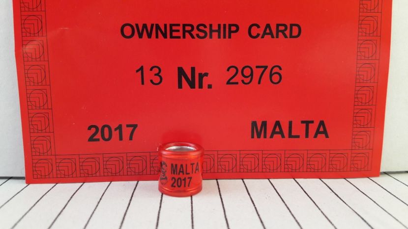 MALTA 2017 FCI - MALTA - MAL