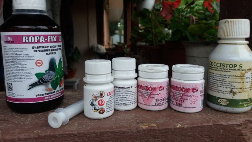  - Tratamente porumbei