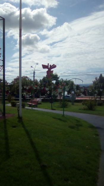 IMG-20180701-WA0034 - Parcul Viva