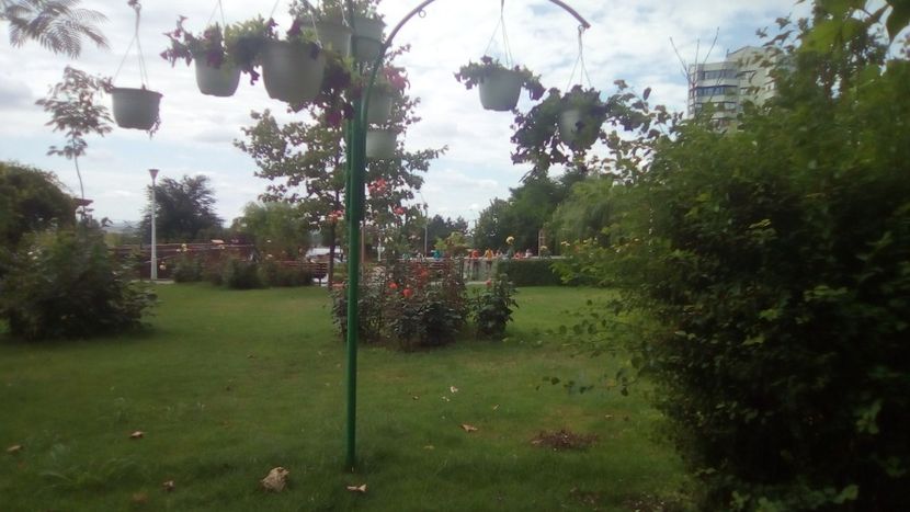 IMG-20180701-WA0092 - Parcul Viva
