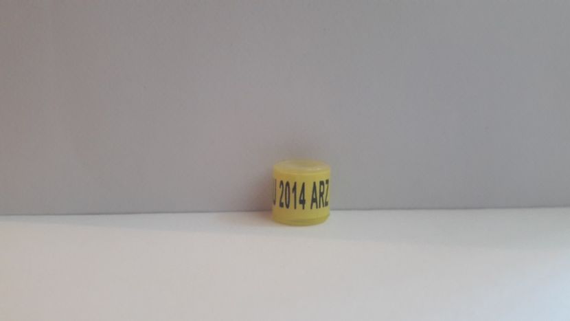 AU 2014 ARZ - AU - ARZ