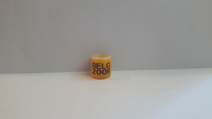 BELG 2009 - BELGIA - BELG