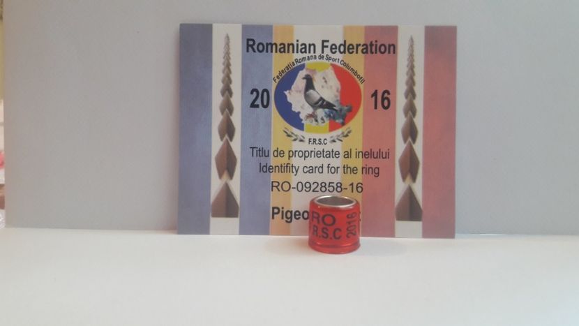 RO 2016 FRSC - RO - FRC-FRSC