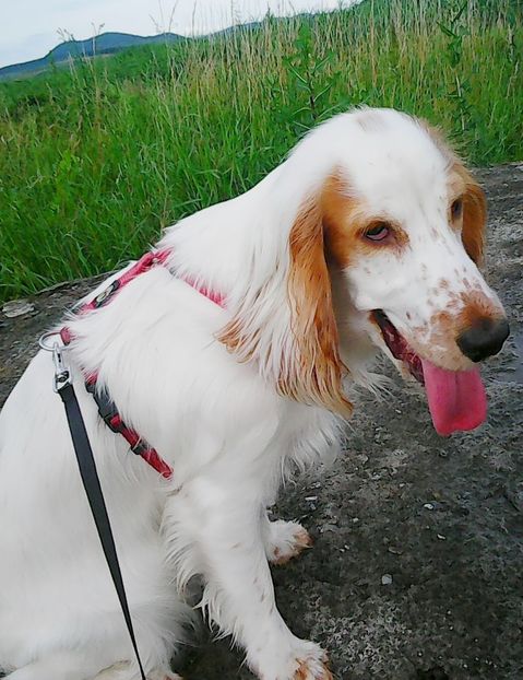 Nuovo_1_Photo8705 - Mimi