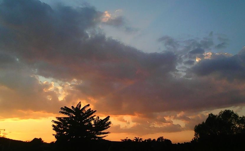 Nuovo_1_Photo8486 - Dansul norilor