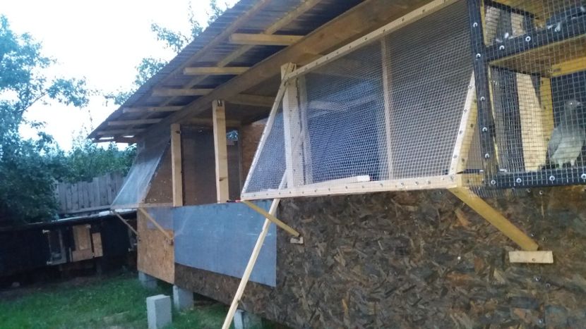  - Noua Crescatorie 2018