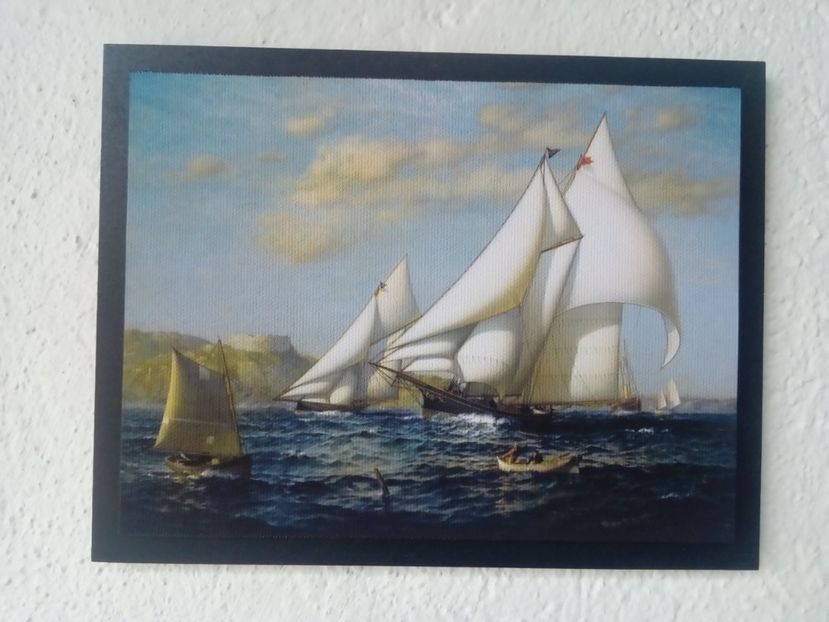 65 - Tablouri- Veliere