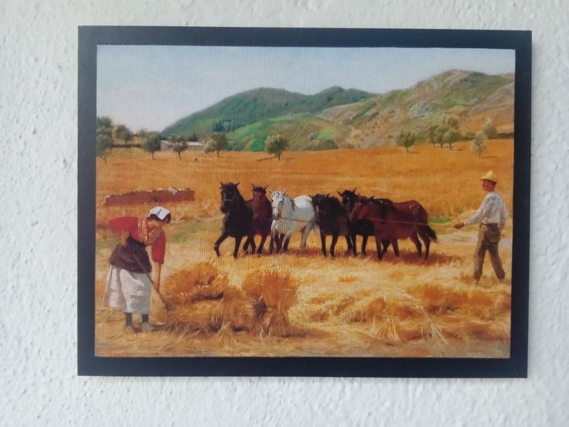 110 - Tablouri - viata la tara