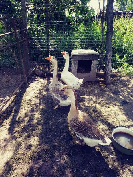 20180702_103105_Film1 - Gaste