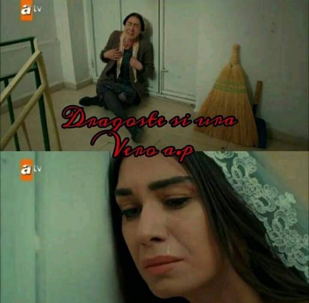  - Mavi