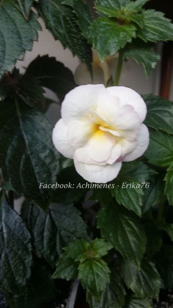 2018 - Summer Clouds D