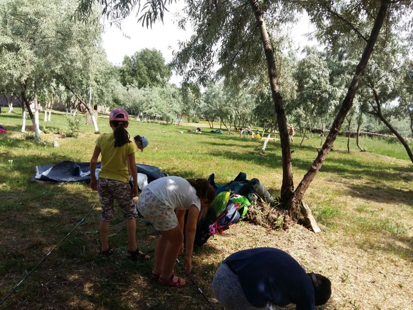 IMG-20180615-WA0028 - Maia cercetasi iunie 2018