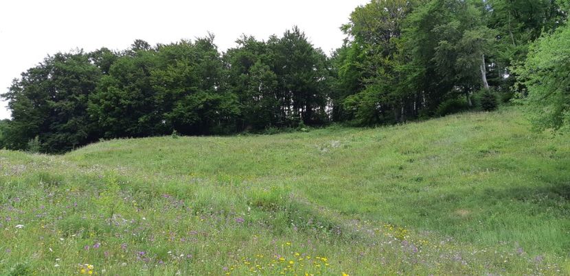  - Satul Hotaru Satul bunicilor