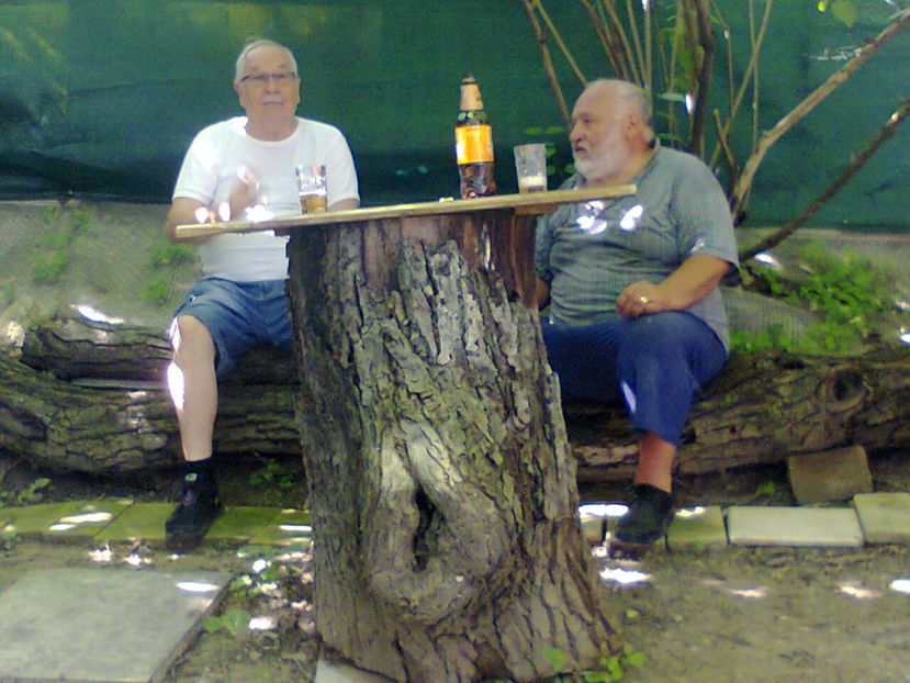 Fotografie4055 - 2018 INLOCUIREA ACOPERISULUI DE LA TERASA MARE