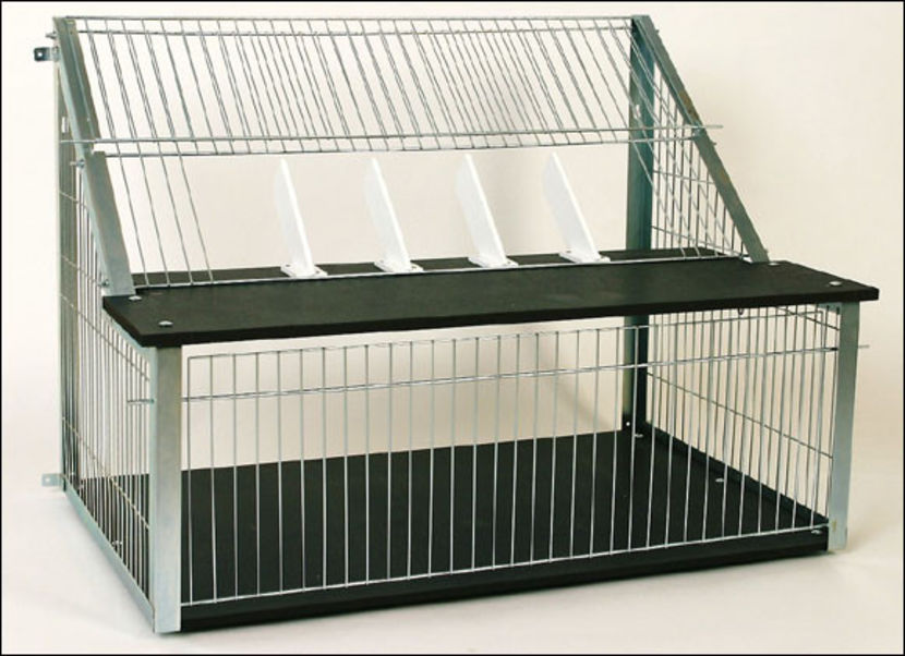 Sputnic 60 cm - 280 lei - SPUTNICE - 300 lei