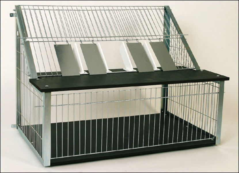 Sputnic 80 cm - 300 lei - SPUTNICE - 300 lei