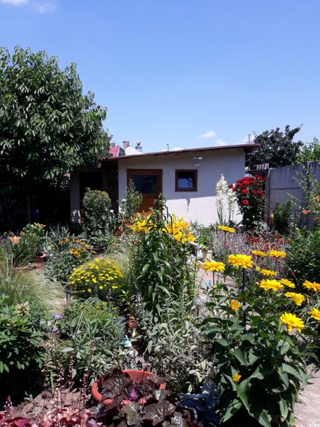  - Flori de grădină-2018 Vara