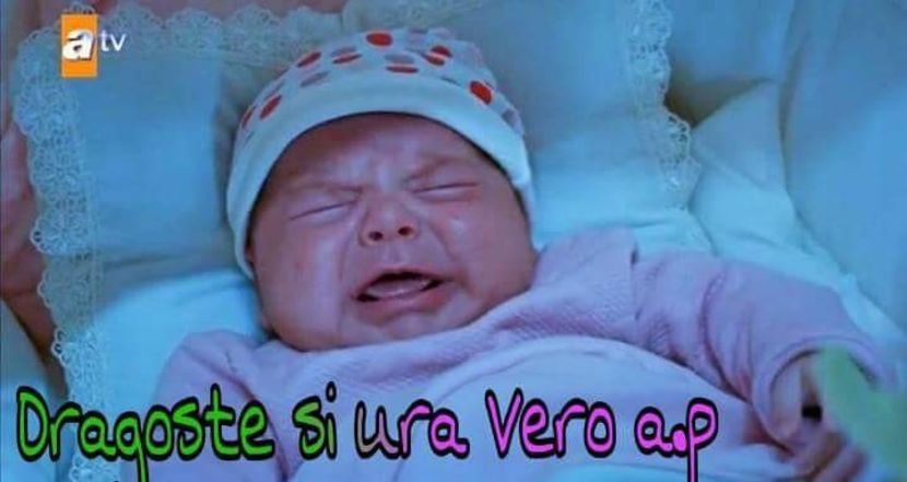  - Cicek