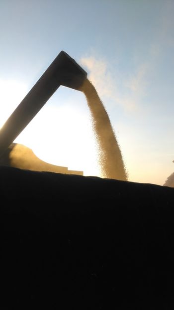 graului . - Grau 2018 !