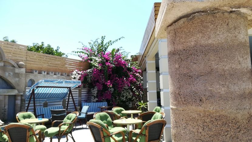  - Flori de peste mari si tari