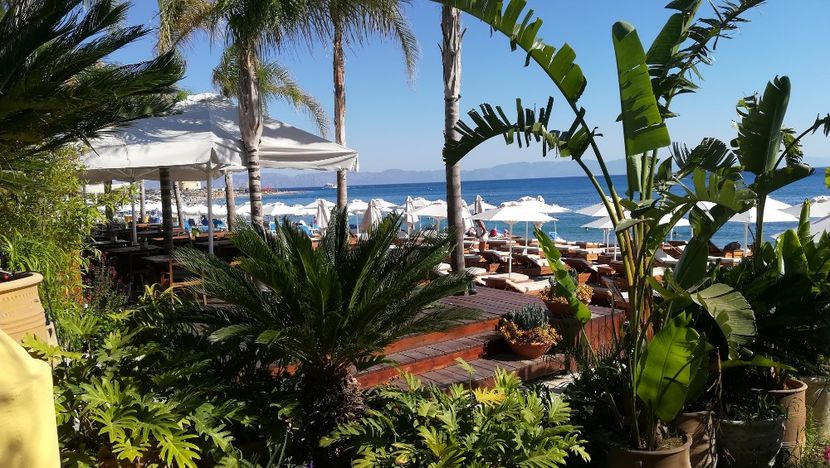  - Flori de peste mari si tari