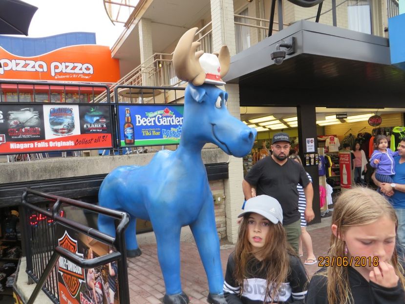  - Canada1_Toronto_ Niagara_ 1000 Islands _Montreal