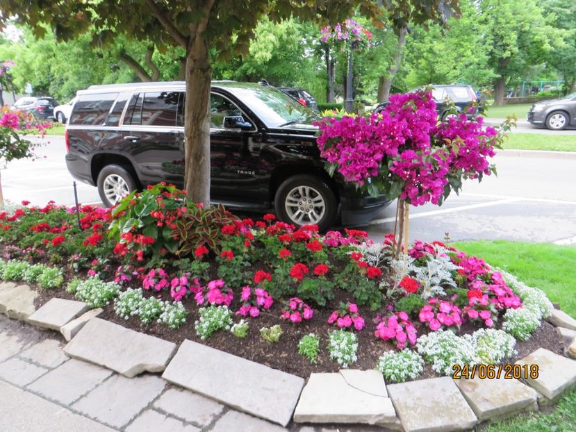  - Canada1_Toronto_ Niagara_ 1000 Islands _Montreal