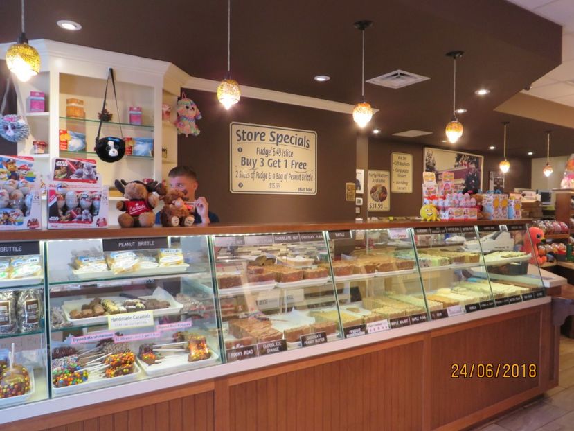  - Canada1_Toronto_ Niagara_ 1000 Islands _Montreal