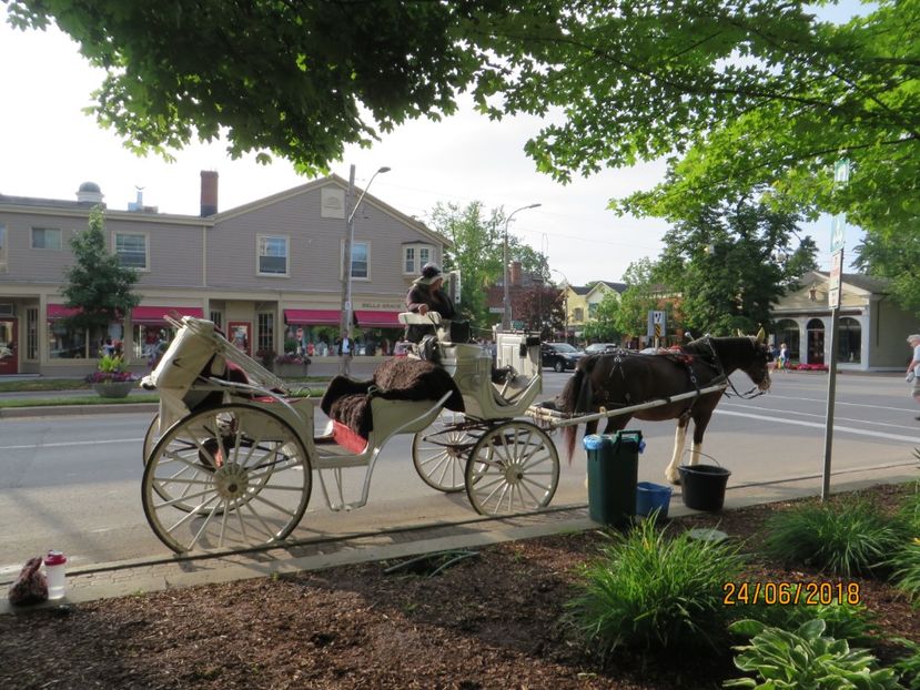  - Canada1_Toronto_ Niagara_ 1000 Islands _Montreal