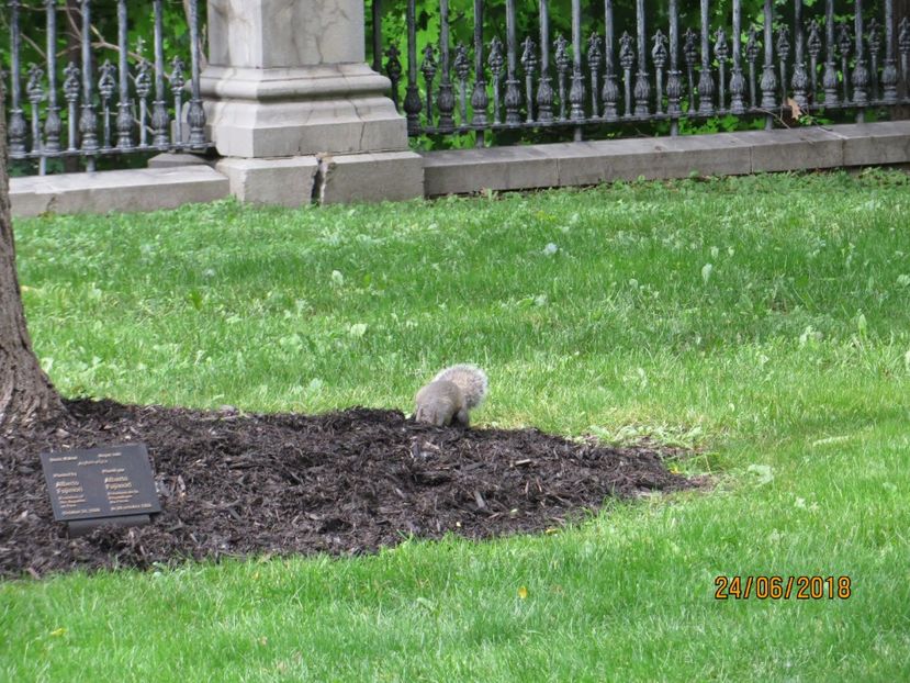  - Canada1_Toronto_ Niagara_ 1000 Islands _Montreal