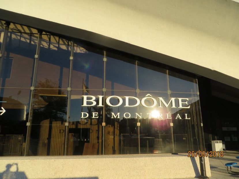  - Canada1_Toronto_ Niagara_ 1000 Islands _Montreal