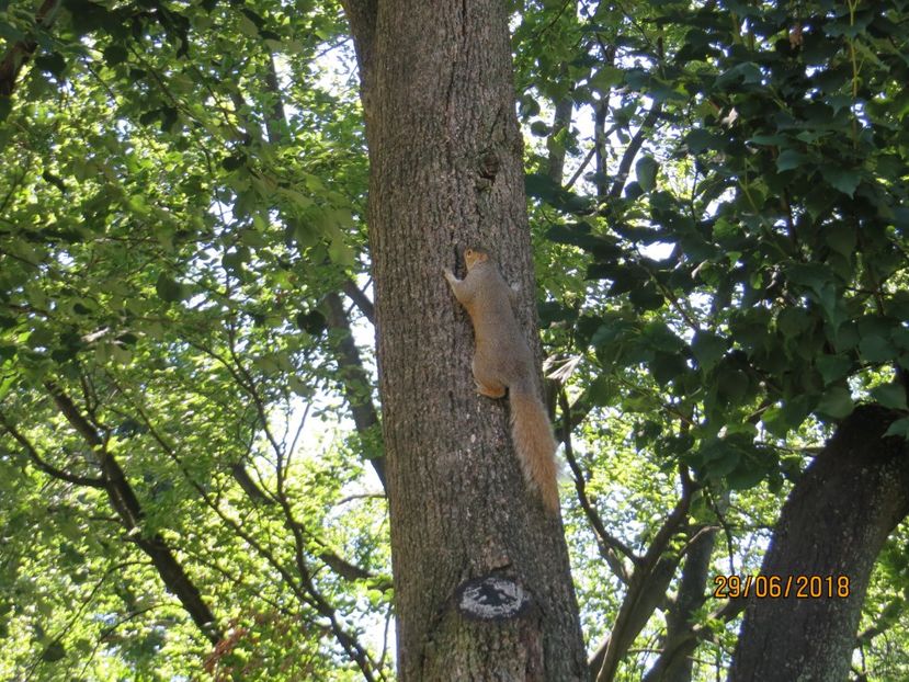  - SUA1_ Kennebunk_ Boston_ Harvard_ New York