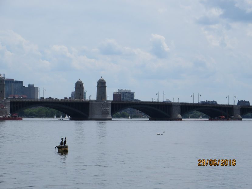  - SUA1_ Kennebunk_ Boston_ Harvard_ New York