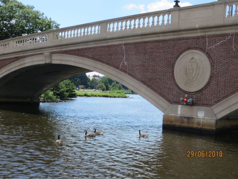  - SUA1_ Kennebunk_ Boston_ Harvard_ New York