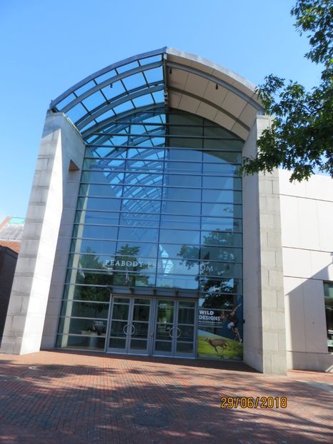  - SUA1_ Kennebunk_ Boston_ Harvard_ New York