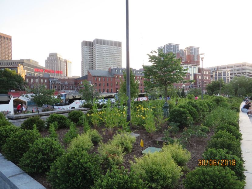  - SUA1_ Kennebunk_ Boston_ Harvard_ New York