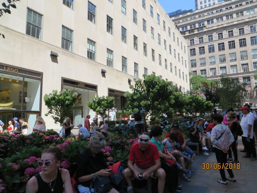  - SUA1_ Kennebunk_ Boston_ Harvard_ New York