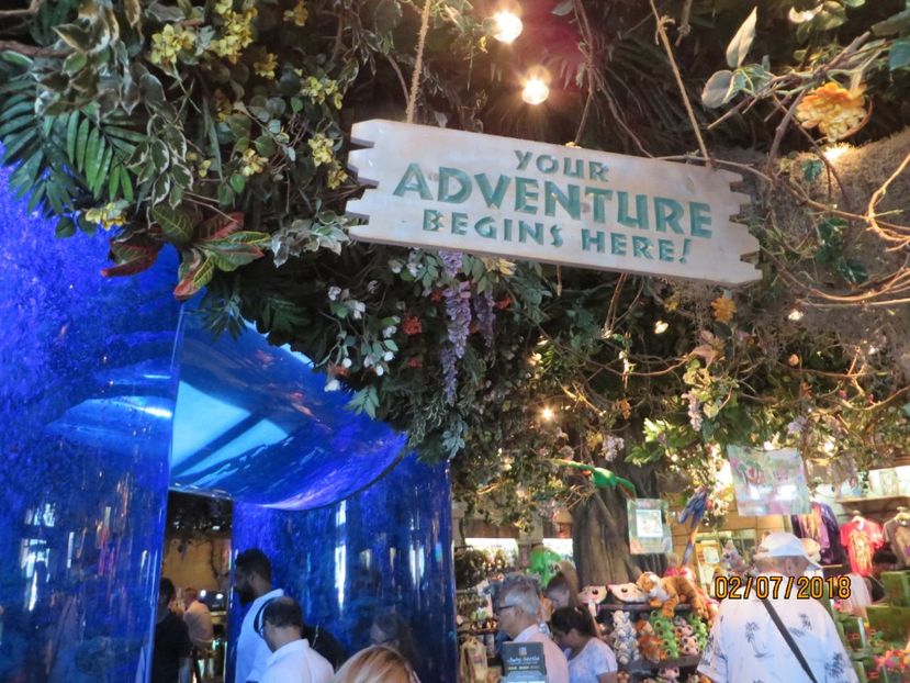  - SUA2_New York_ Atlantic City_Philadelphia_Washington