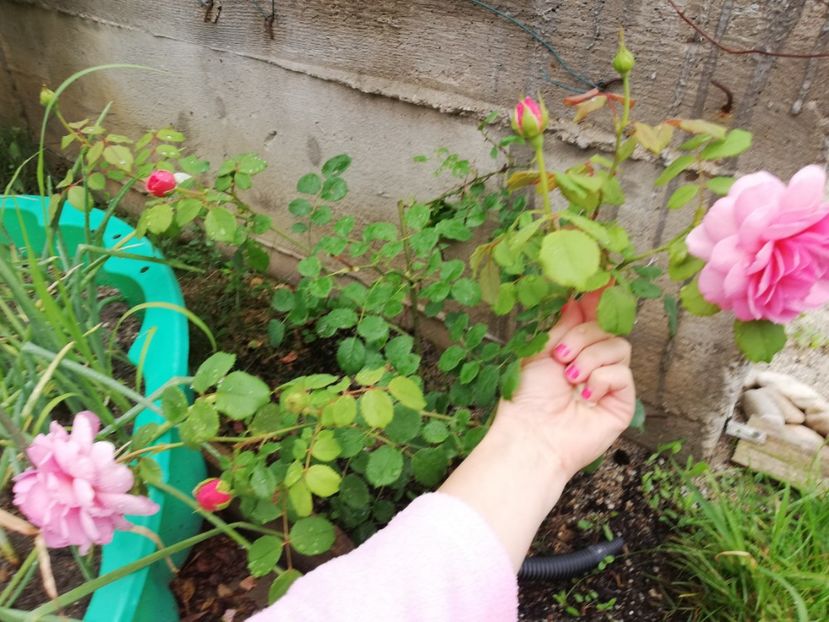  - Princess Alexandra of Kent