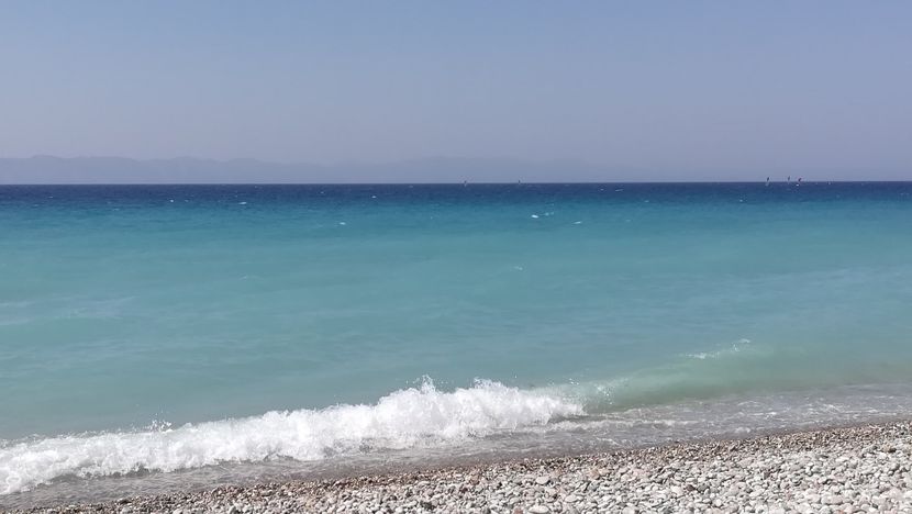  - Flori de peste mari si tari