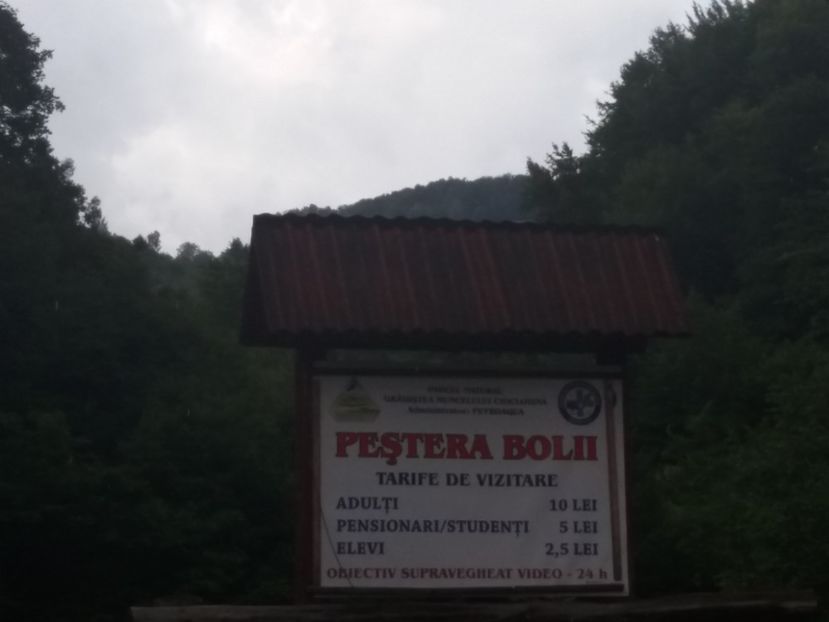  - Peștera Bolii-Hunedoara