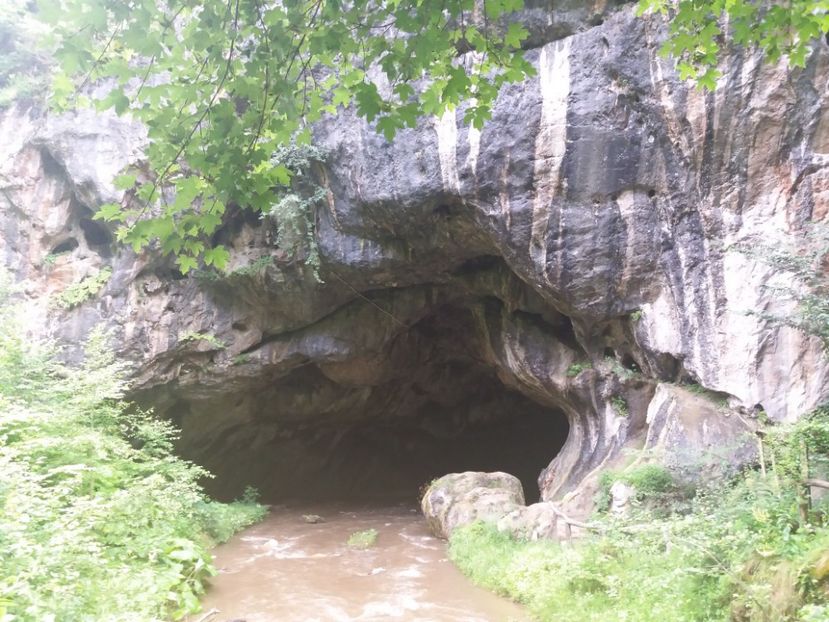  - Peștera Bolii-Hunedoara