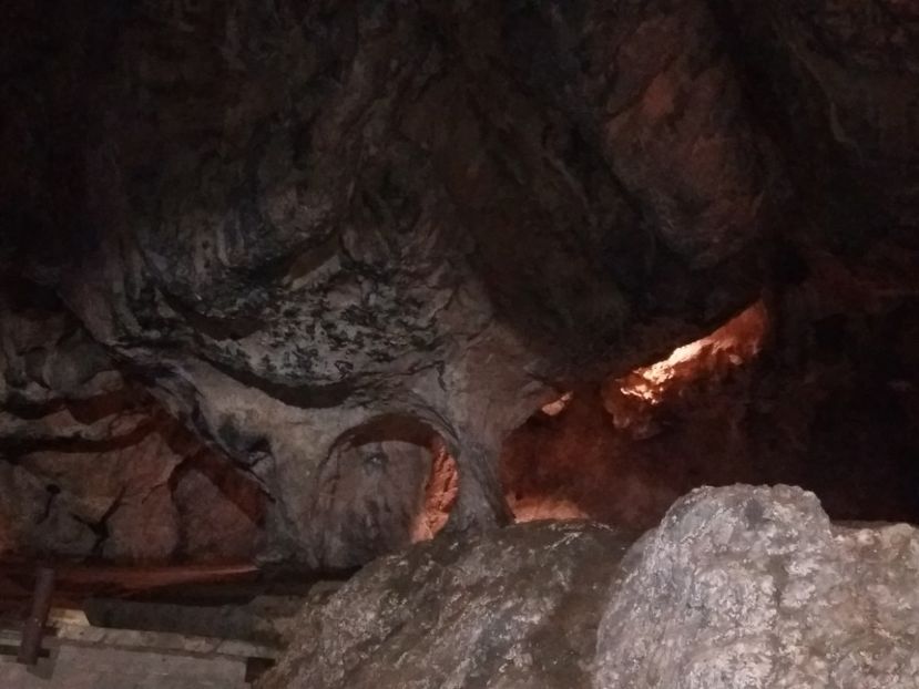  - Peștera Bolii-Hunedoara