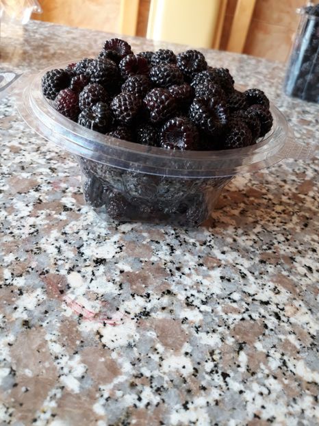  - ZMEURA NEAGRA-BLACK JEWEL